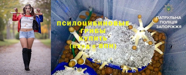 дурь Алексеевка
