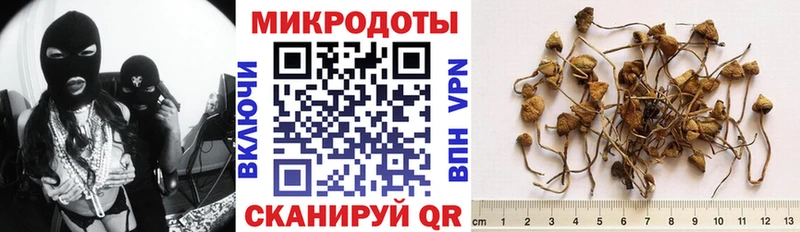 Галлюциногенные грибы мицелий  Неман 